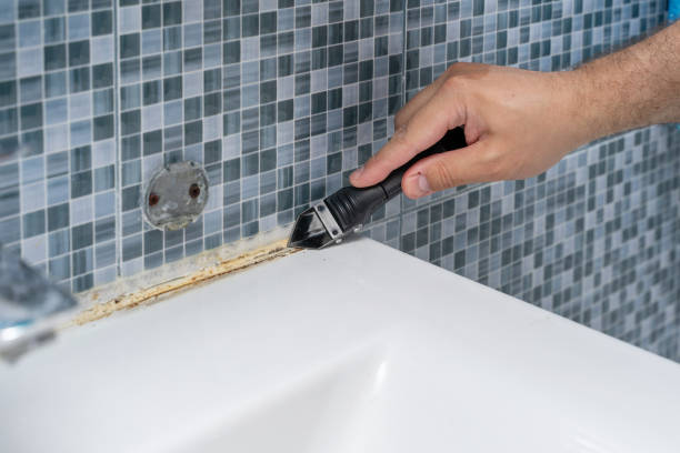 Best Local Mold Removal Service  in Elmwood Park, IL